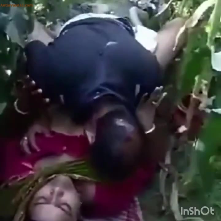 मक्के के खेत में निचे लिटा के रंडी को चोदा किसान ने