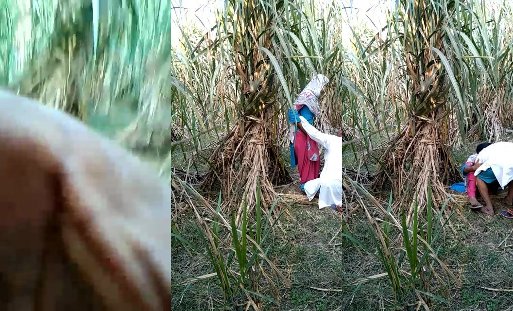 हॉट हॉस्टल गर्ल्स का चूत घिसने का देसी लेस्बियन वीडियो