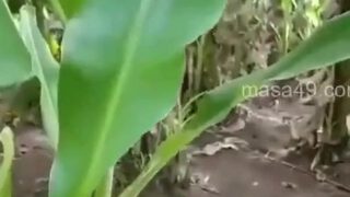 केले के खेतों में प्रेमी से चुदवाते पकडी गई भाभी